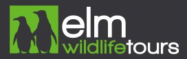 Elm Wildlife Tours logo